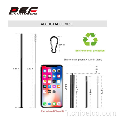 Jeu de pailles en acier inoxydable avec coque en aluminium